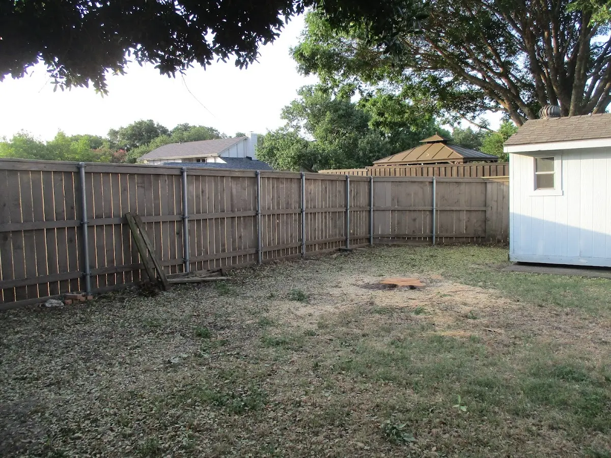 Cleared yard after professional tree removal in New Eagle