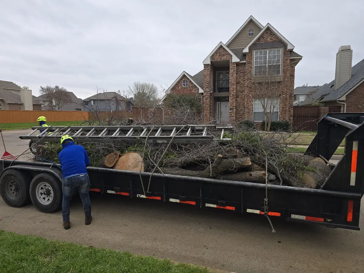 Expert Tree Pest Control with proper safety equipment in New Eagle